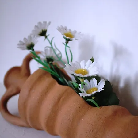 Bed & Breakfast Ada Olympos 2*